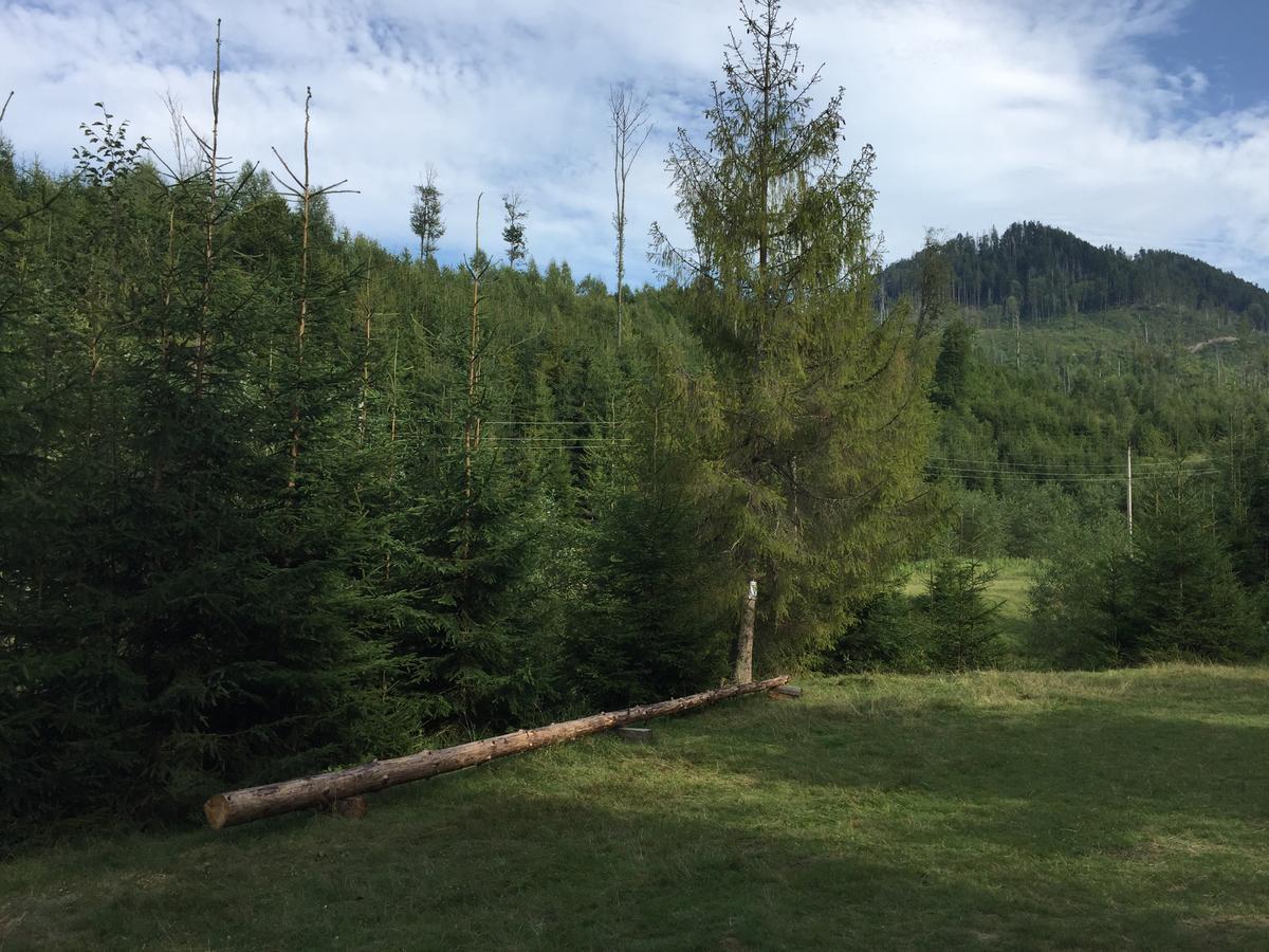 Wooddream Hotel Volovets Luaran gambar