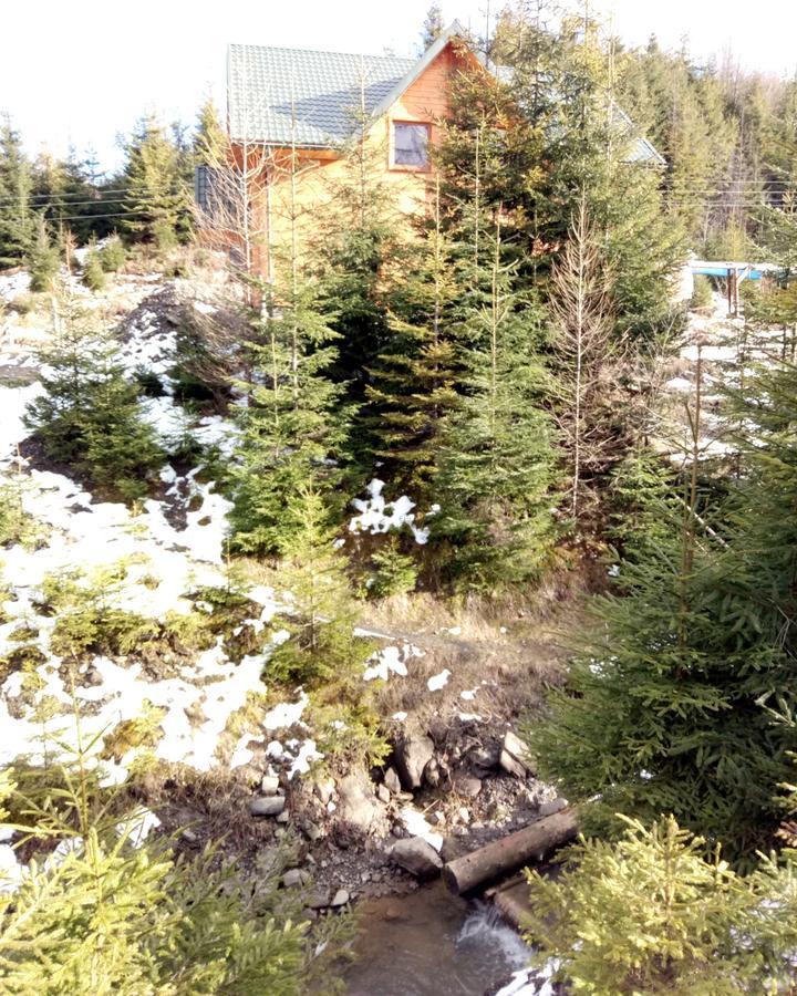 Wooddream Hotel Volovets Luaran gambar